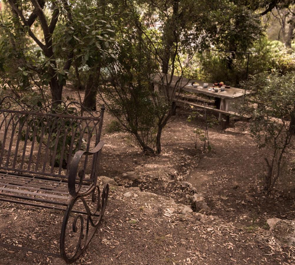 Nel Giardino Dei Pesci Volanti Villa Сан Панталео Екстериор снимка